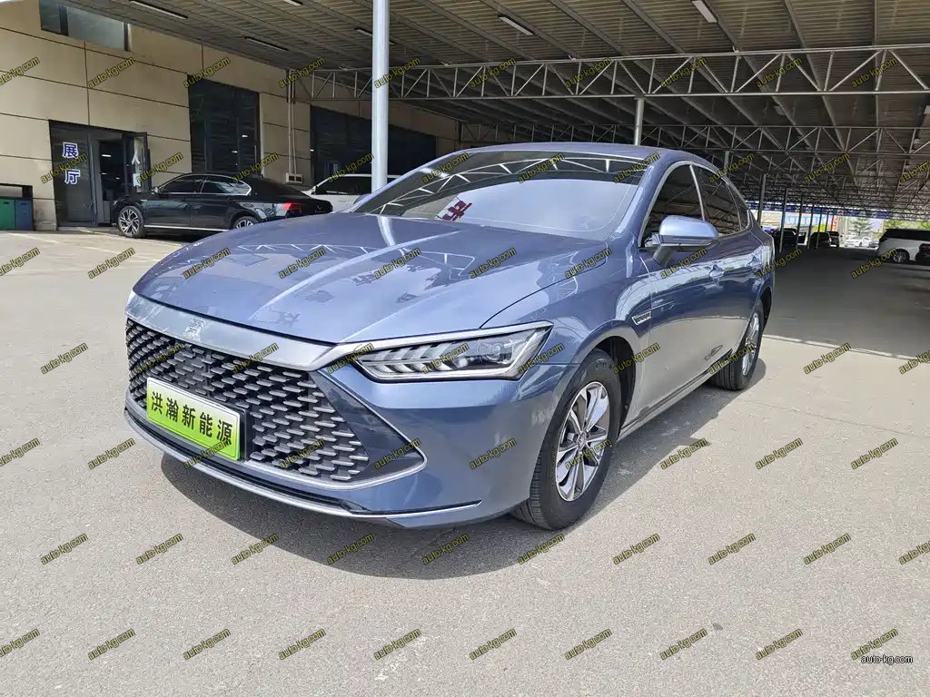 BYD Qin PLUS 2024