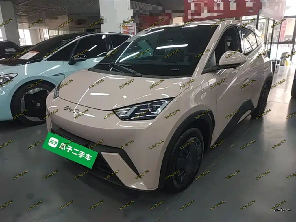 BYD Seagull 2025
