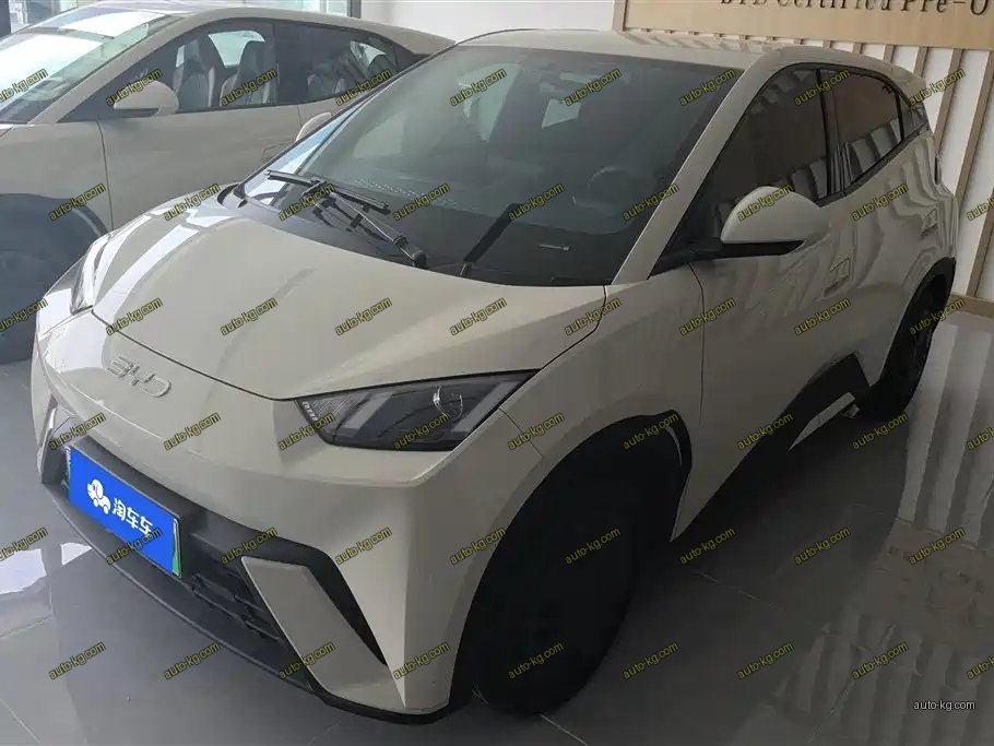 BYD Seagull 2025