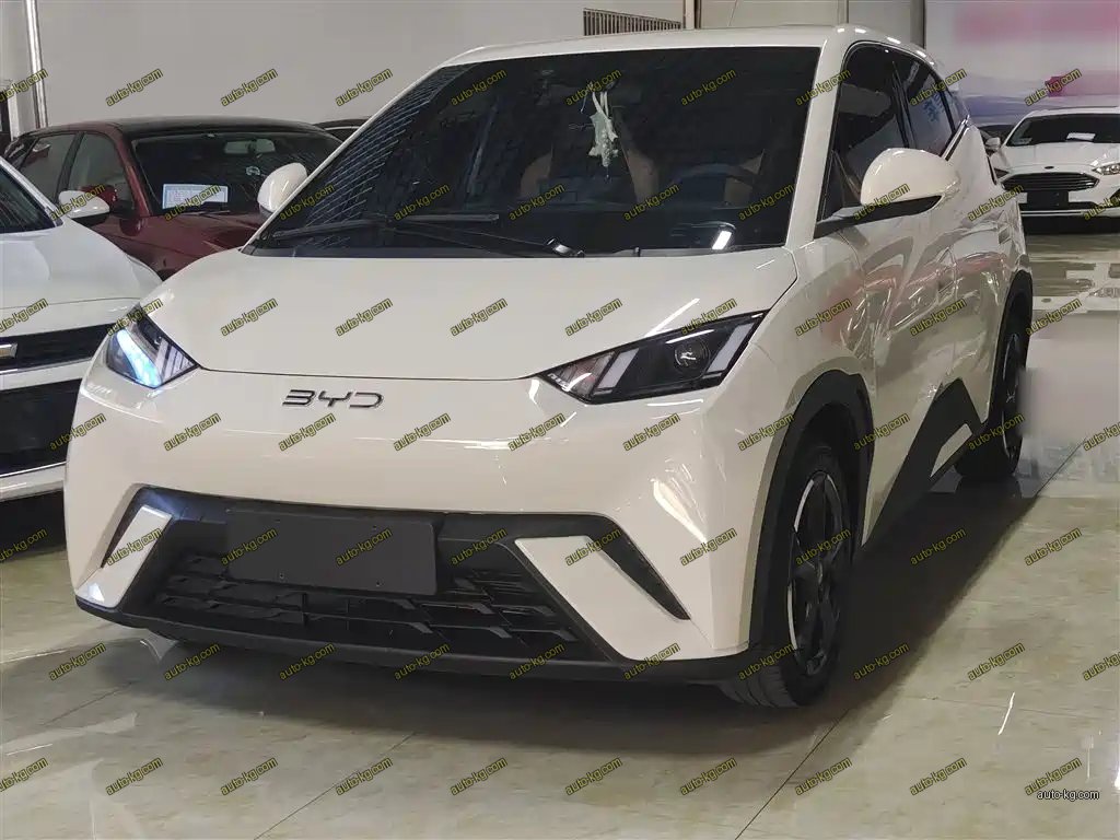 BYD Seagull 2024