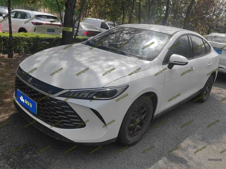 BYD Qin PLUS 2025
