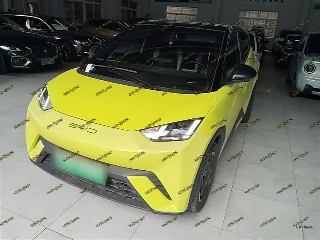 BYD Seagull 2024