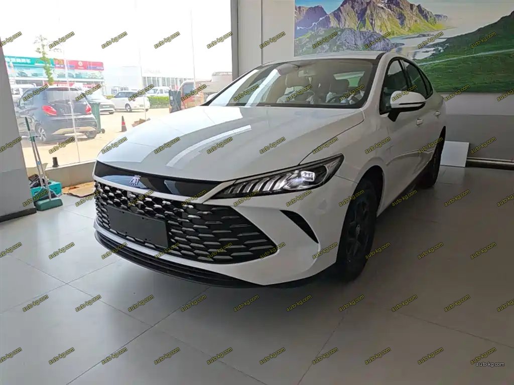 BYD Qin PLUS 2026