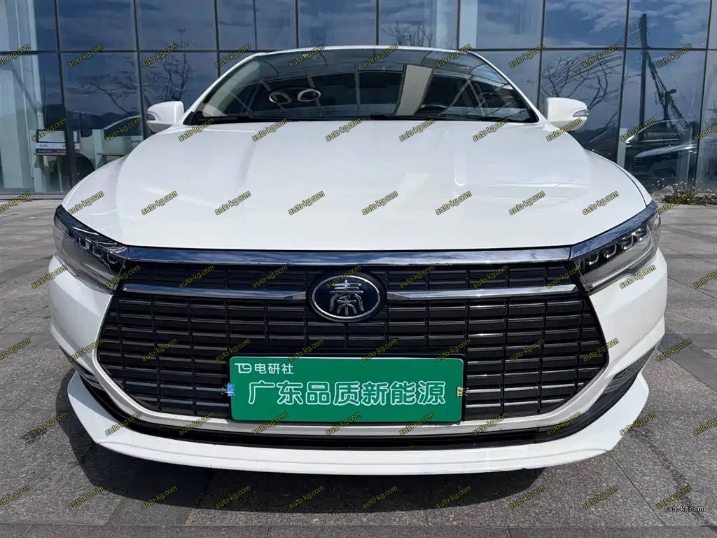 BYD Qin NEV 2020