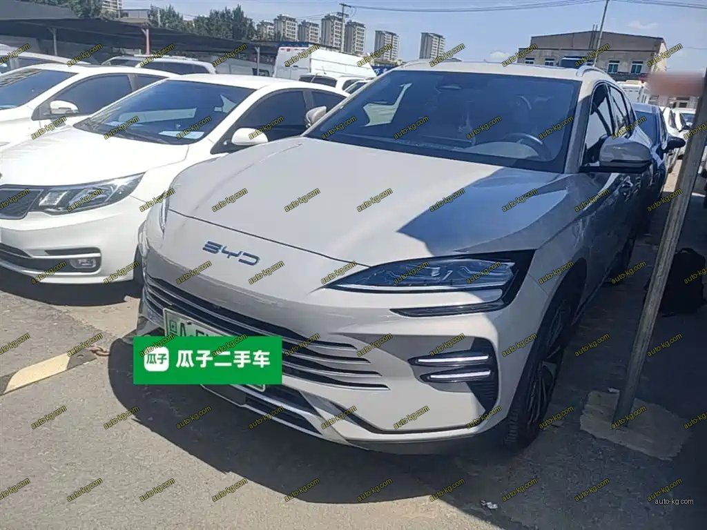 BYD PLUS New Energy 2023