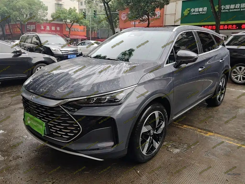 BYD Tang New Energy 2024
