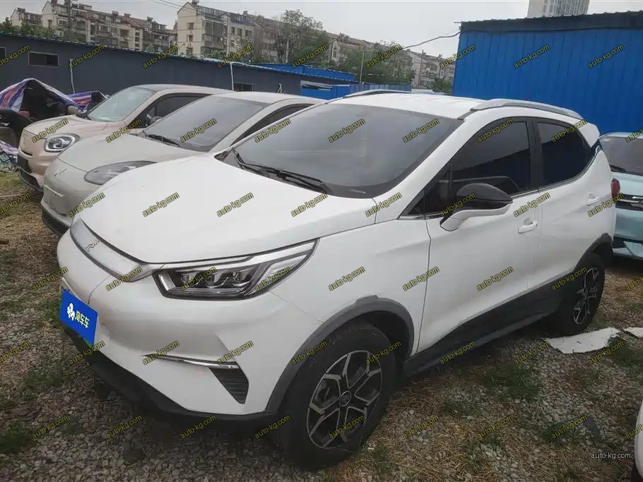 BYD Yuan Pro 2022