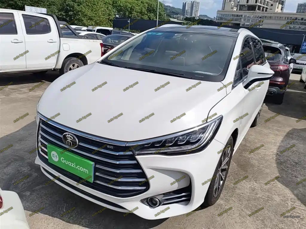 BYD MAX 2019