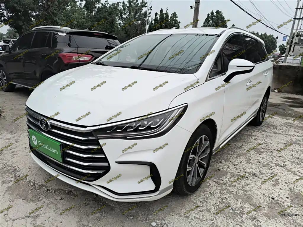 BYD MAX 2020