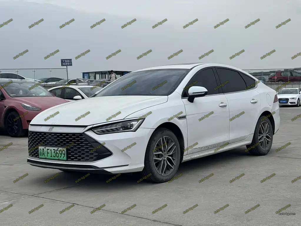 BYD Qin PLUS 2021