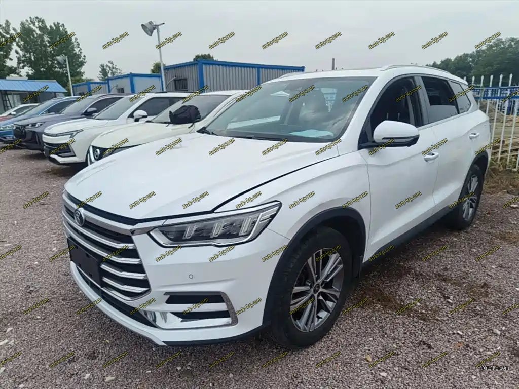BYD Pro 2020