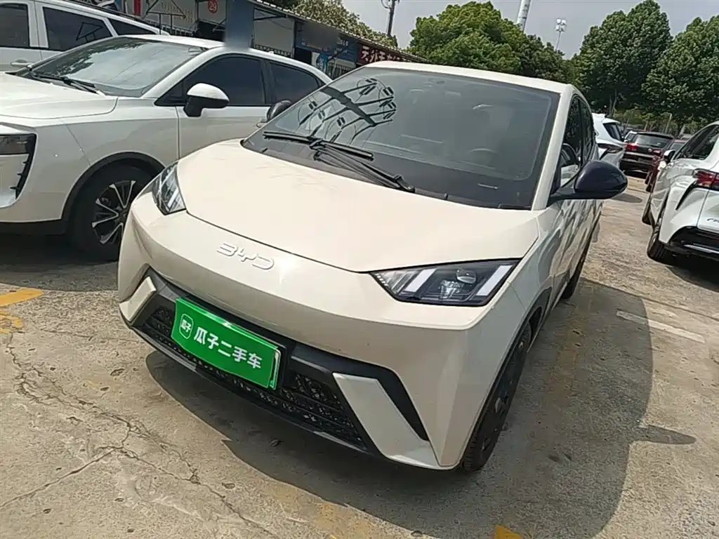 BYD Seagull 2024