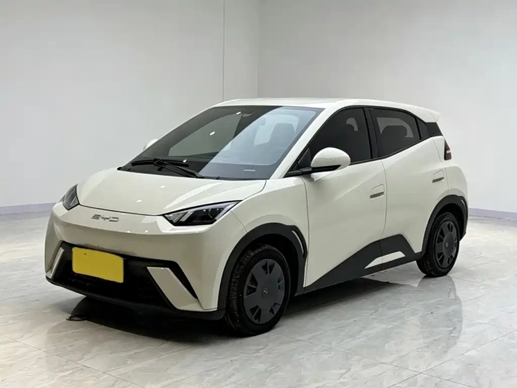 BYD Seagull 2024