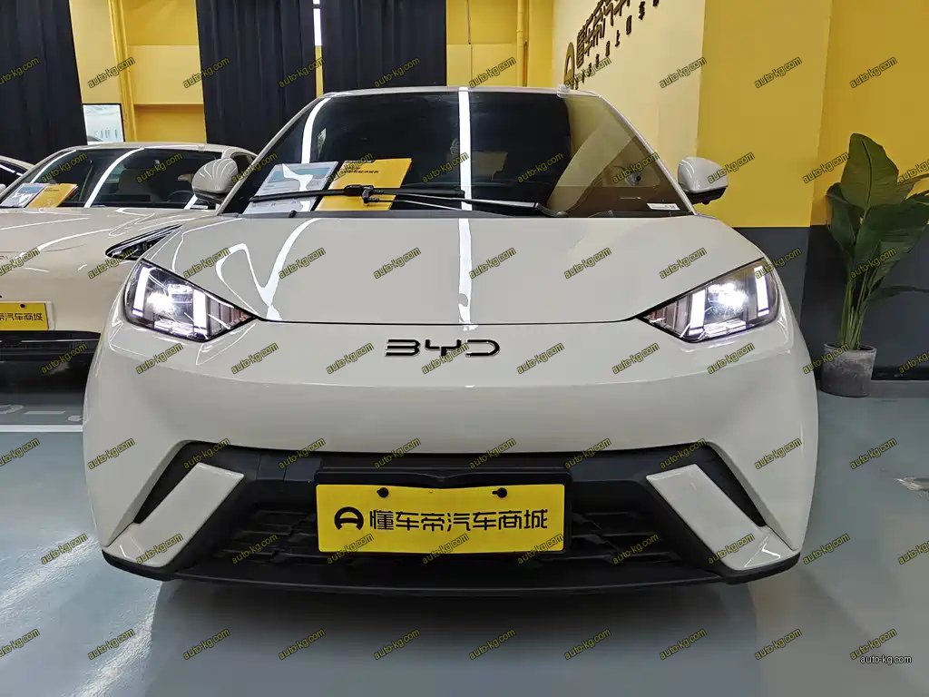 BYD Seagull 2025