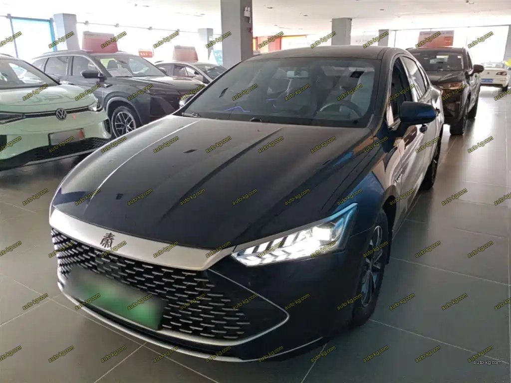 BYD Qin PLUS 2024