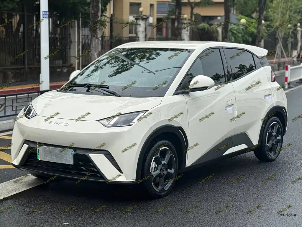 BYD Seagull 2024