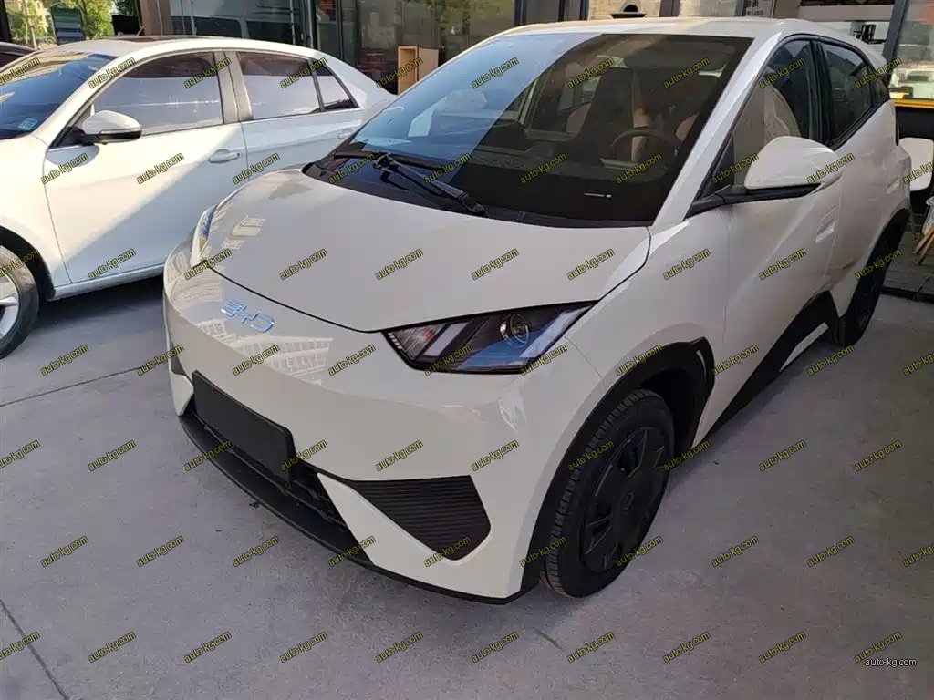 BYD Seagull 2026