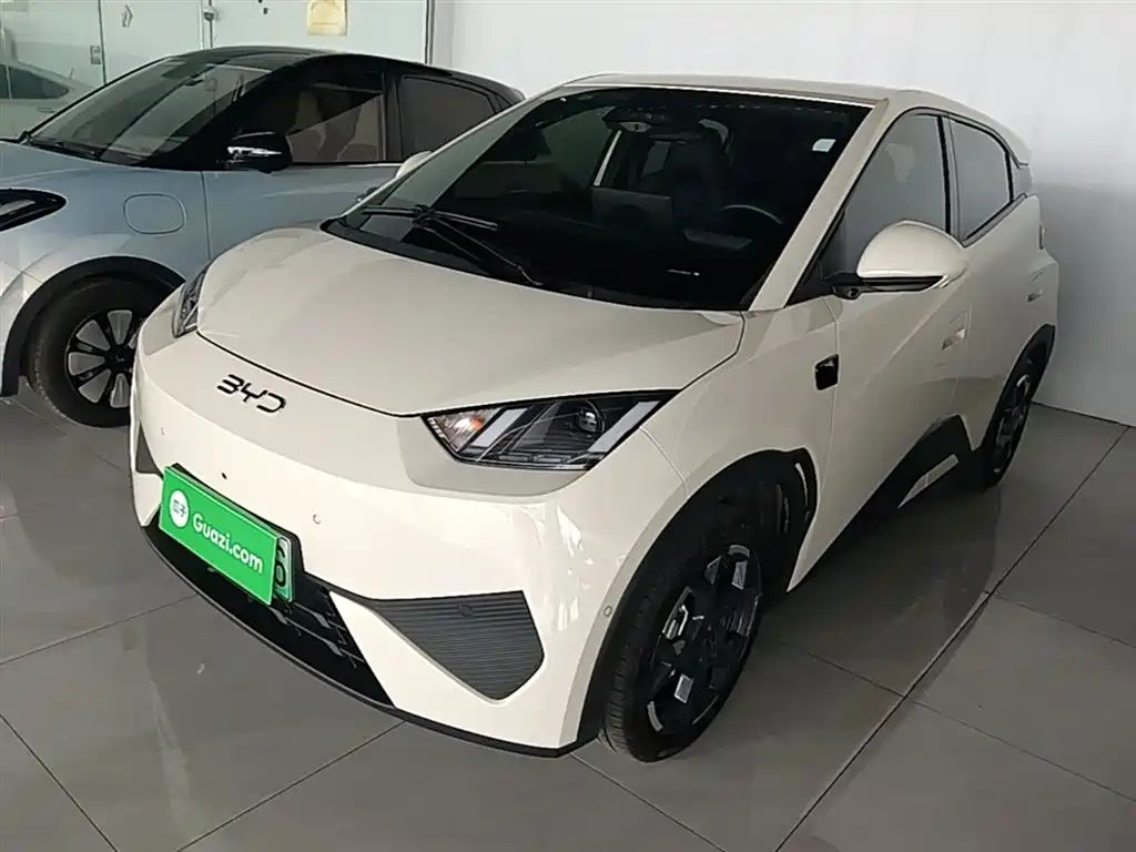 BYD Seagull 2025