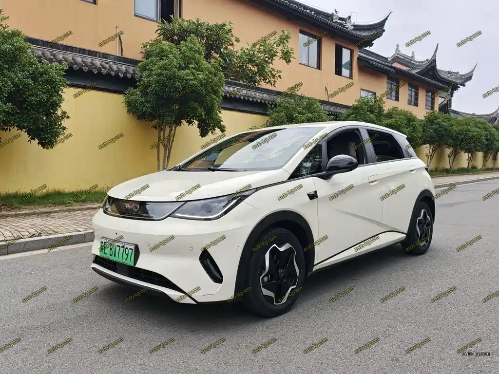 BYD Dolphin 2025