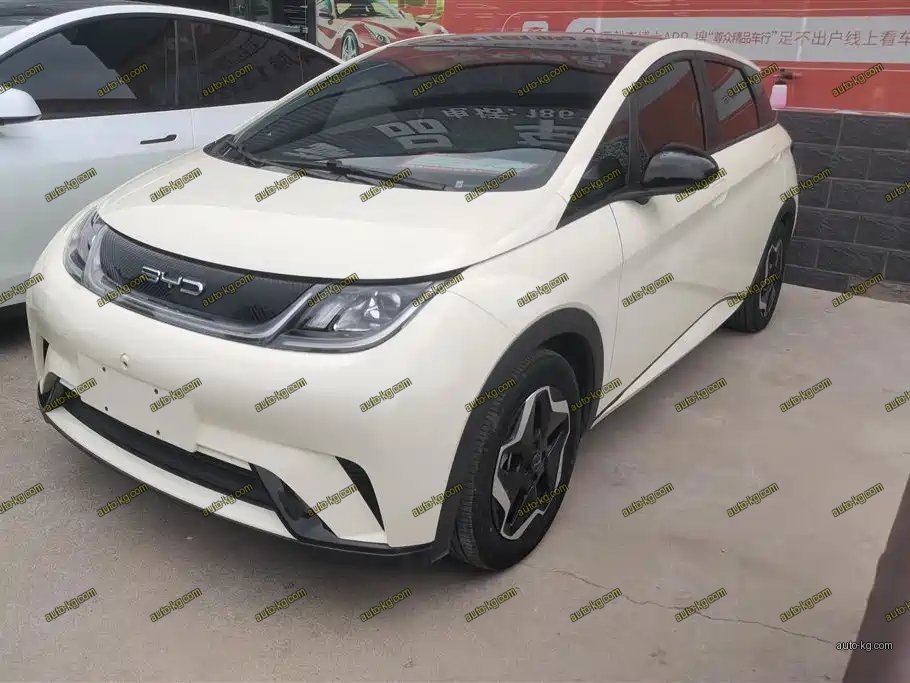 BYD Dolphin 2023