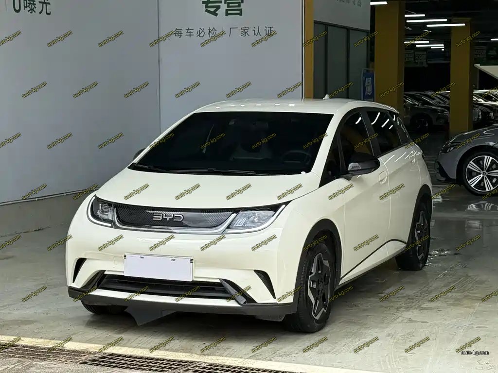 BYD Dolphin 2025