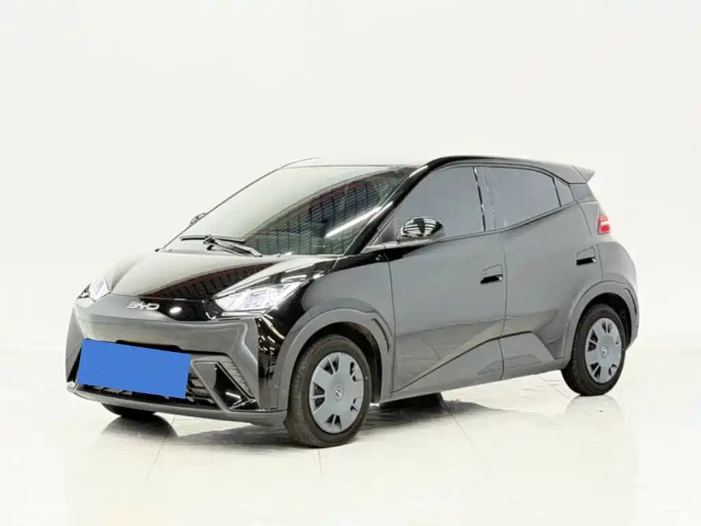 BYD Seagull 2024