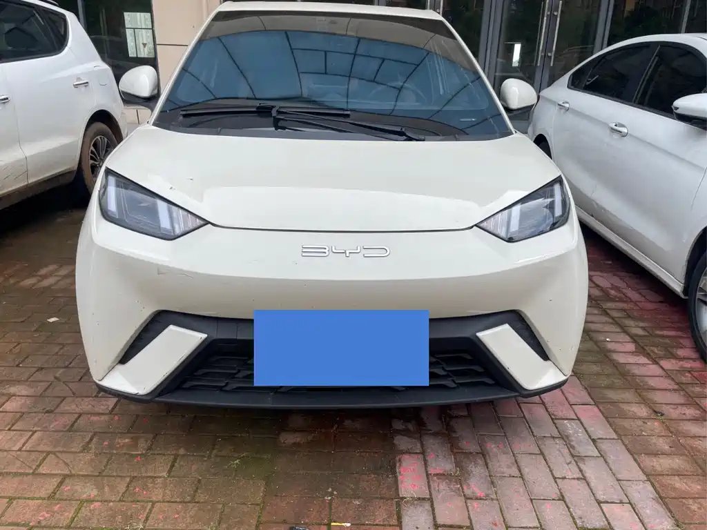 BYD Seagull 2024