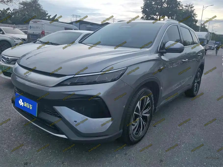 BYD Pro New Energy 2025