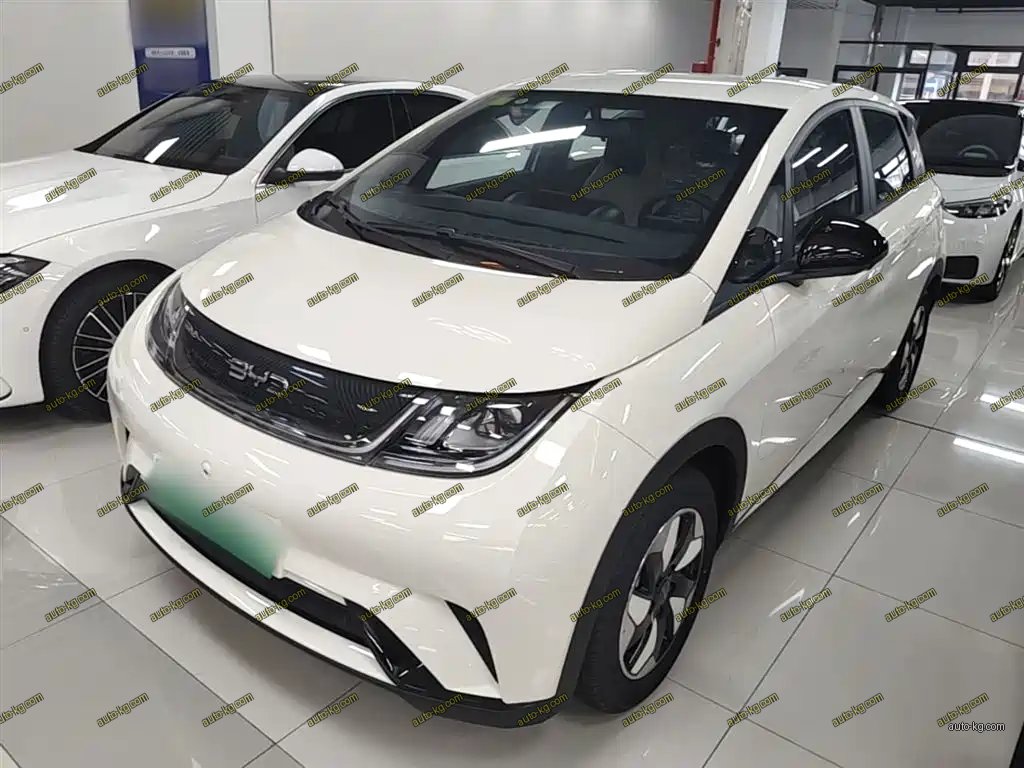 BYD Dolphin 2026
