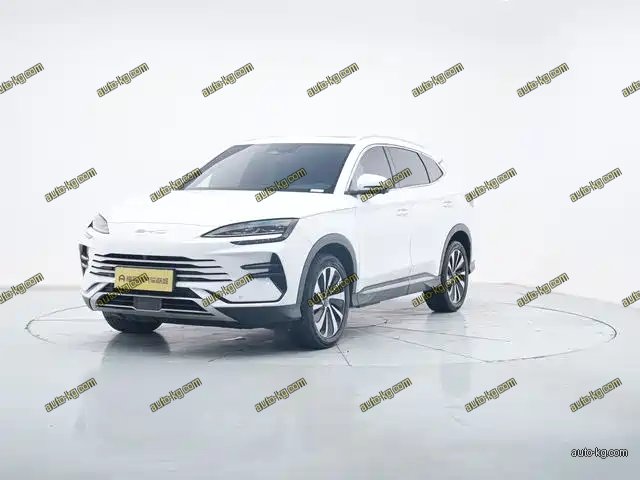 BYD PLUS New Energy 2023