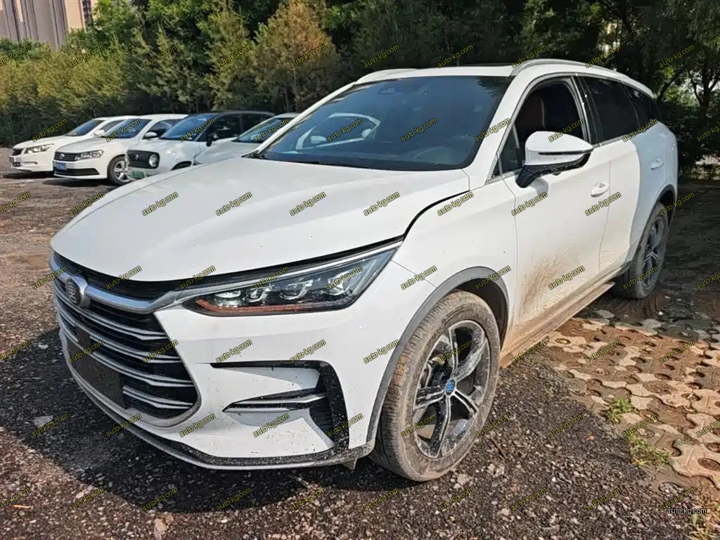 BYD Tang New Energy 2021