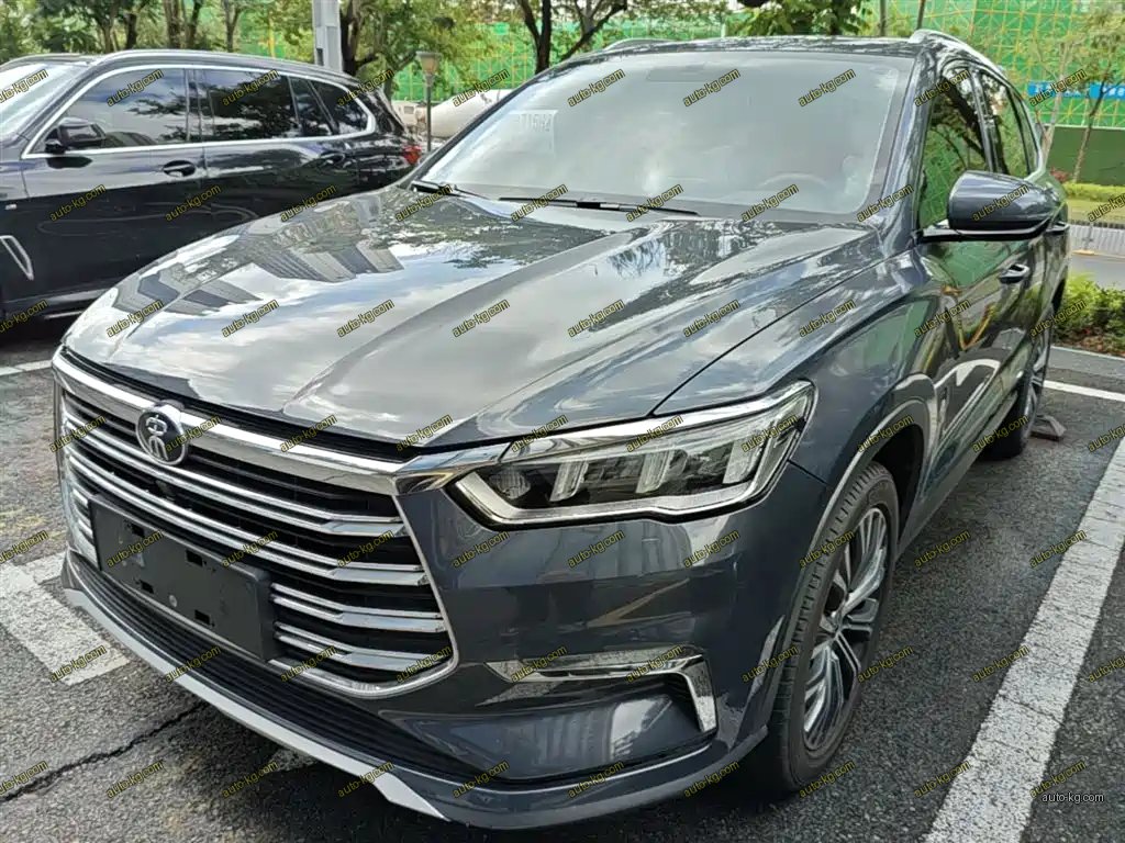 BYD Pro New Energy 2019