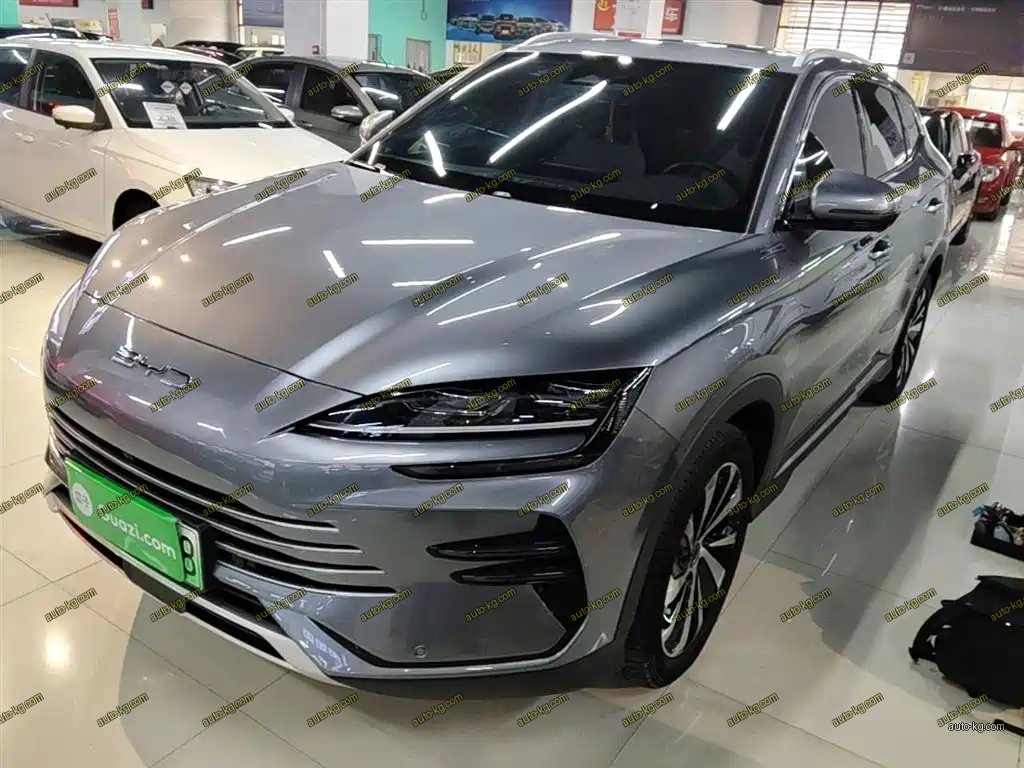 BYD PLUS New Energy 2024