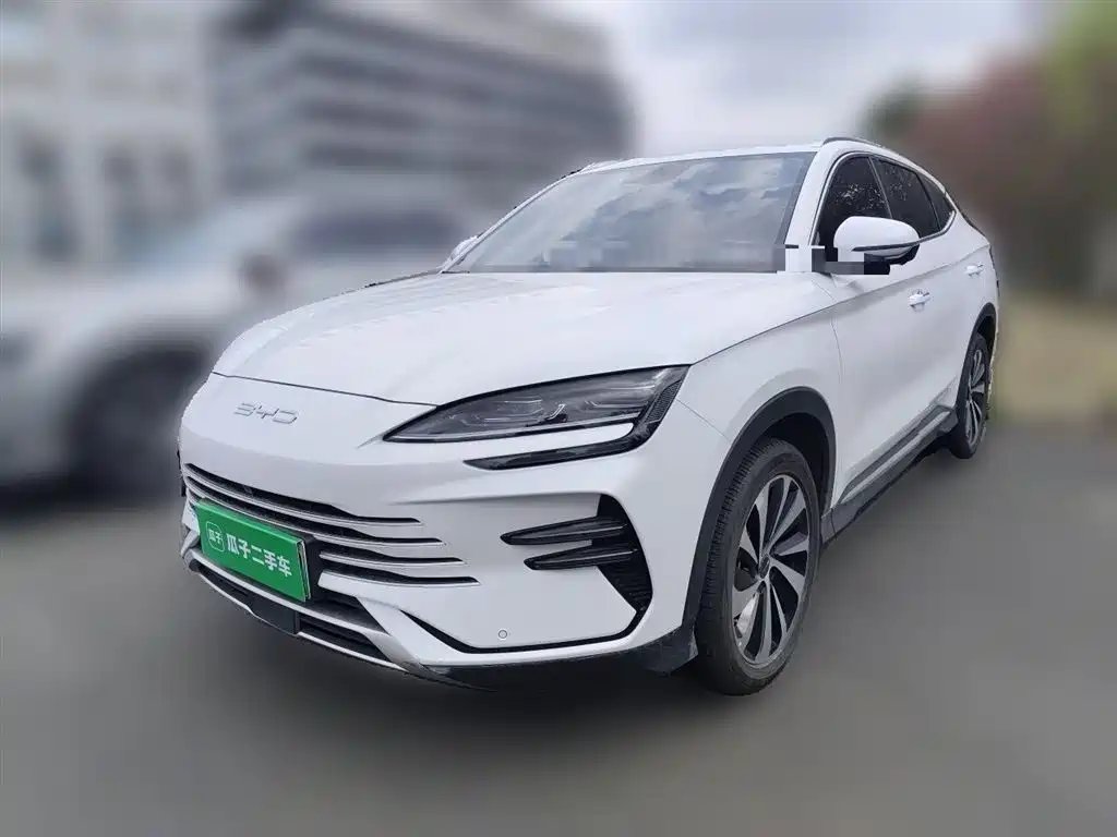BYD PLUS New Energy 2024
