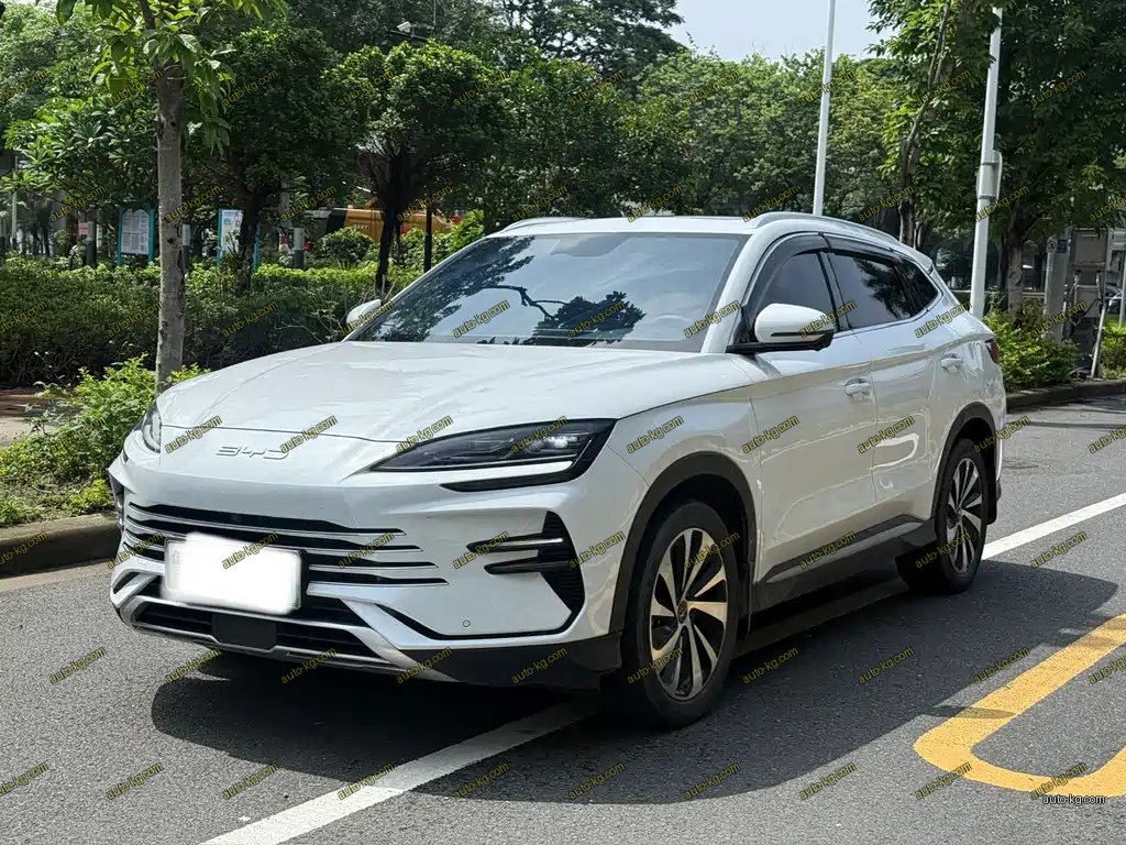 BYD PLUS New Energy 2024