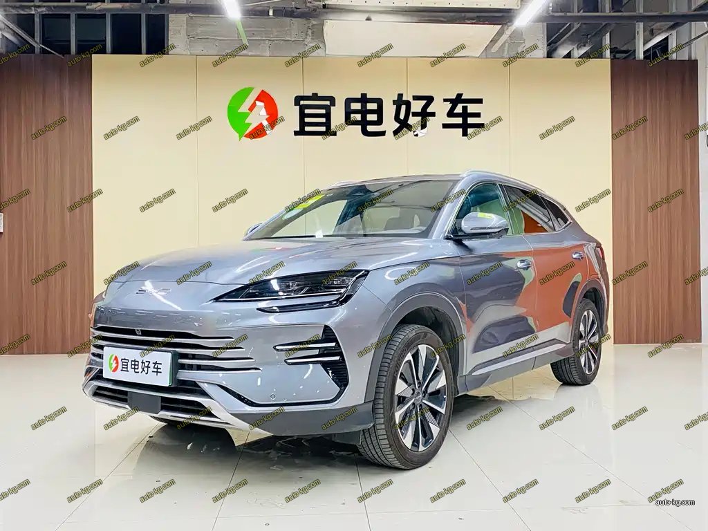 BYD PLUS New Energy 2024