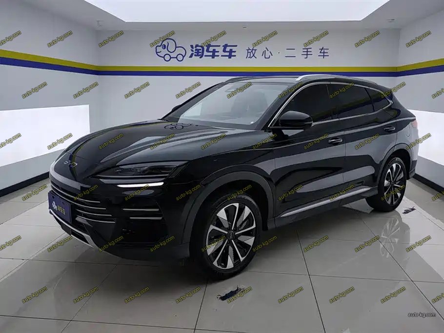 BYD PLUS New Energy 2025
