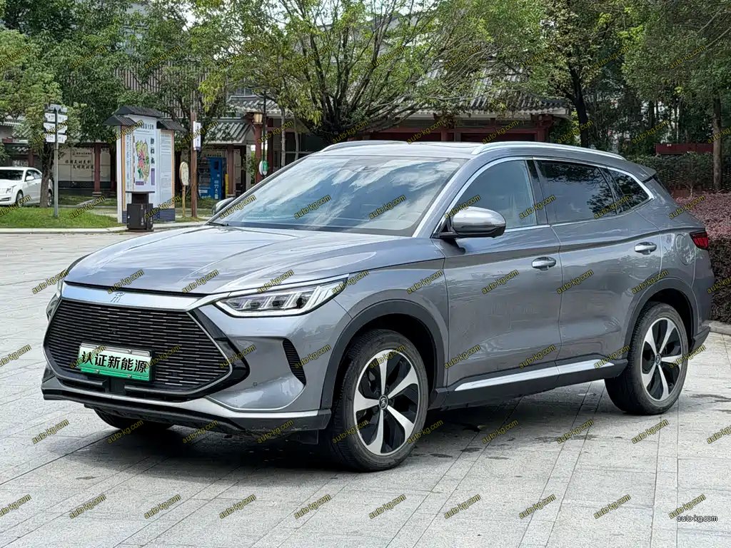 BYD PLUS New Energy 2021