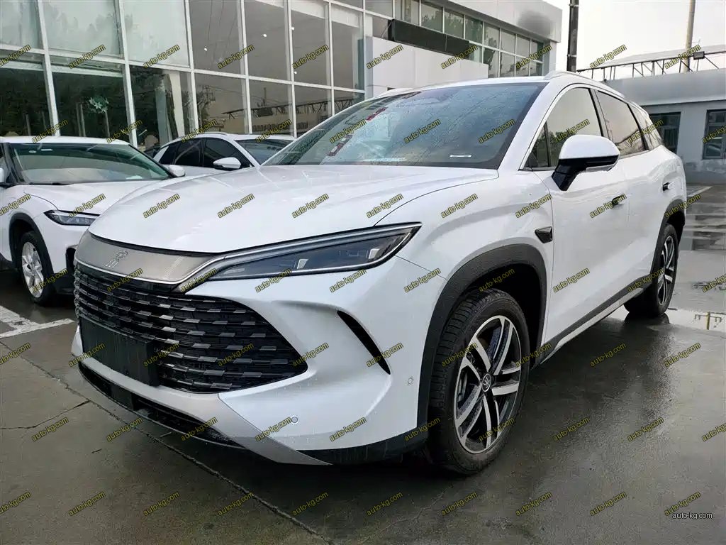 BYD L DM-i 2026