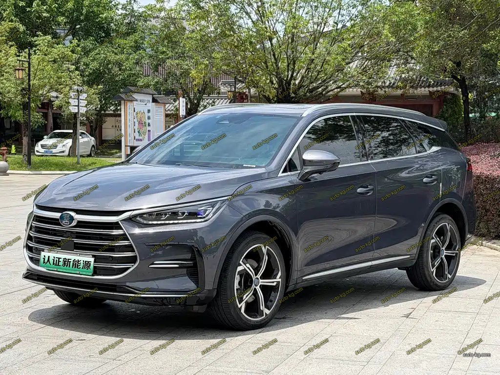 BYD Tang New Energy 2021