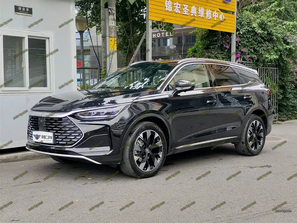 BYD Tang New Energy 2024