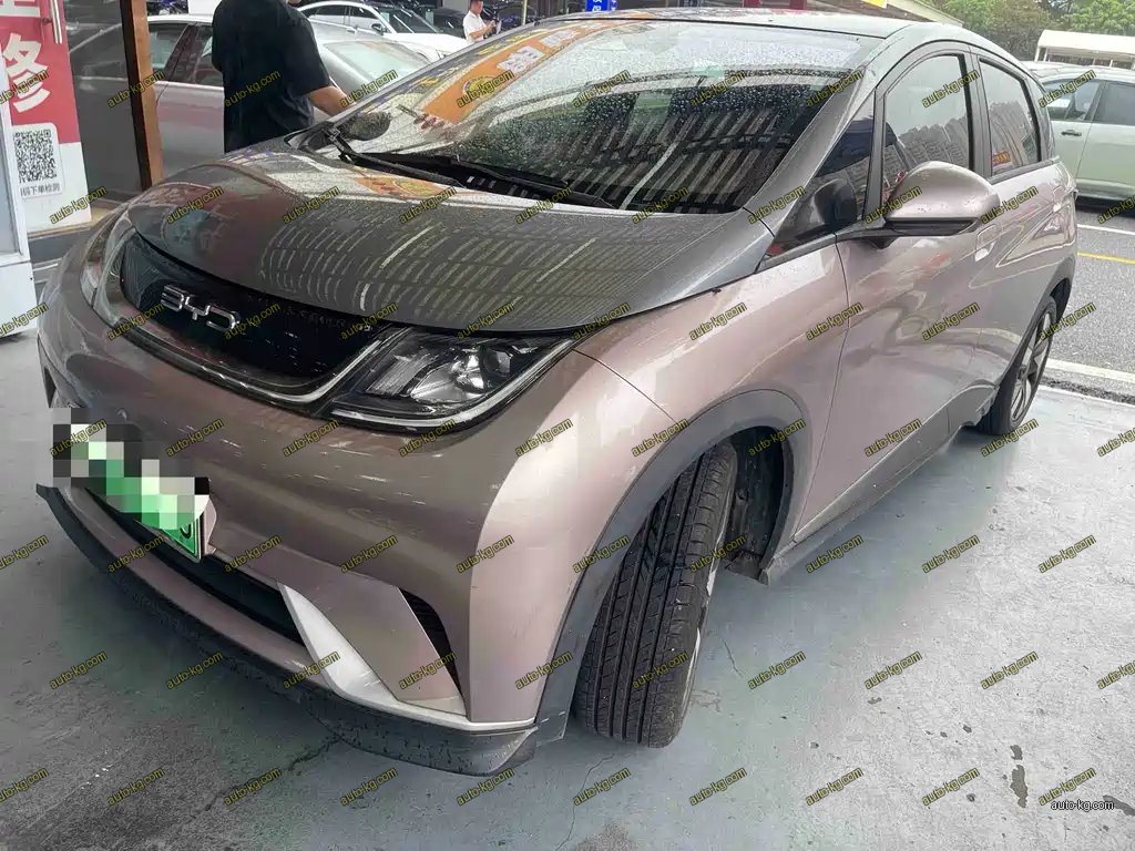 BYD Dolphin 2022