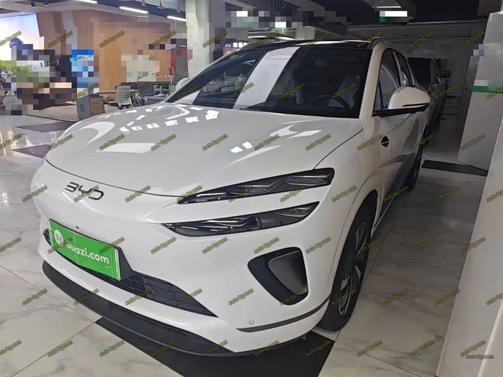 BYD 海狮06 2026