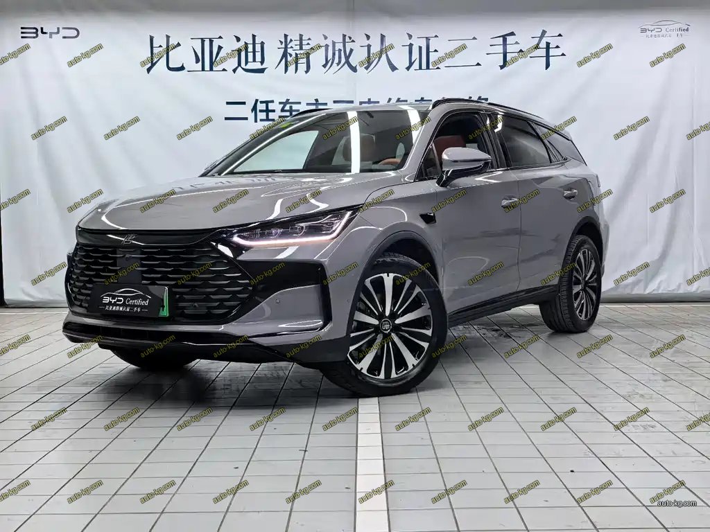 BYD Tang New Energy 2025