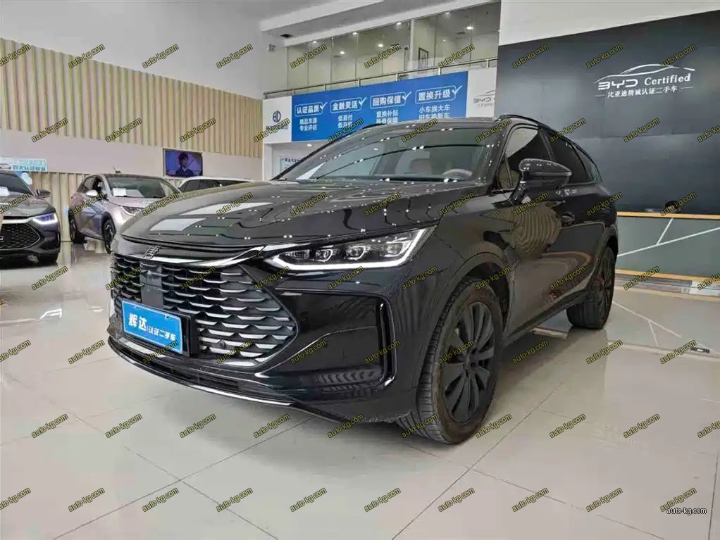 BYD Tang New Energy 2025