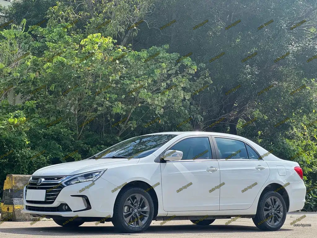 BYD Qin NEV 2018