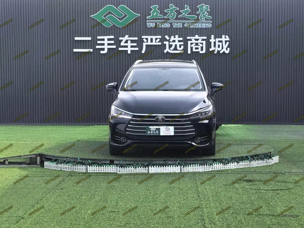 BYD MAX 2018