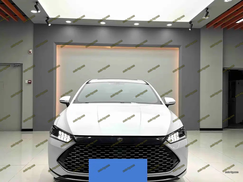 BYD Qin PLUS 2022