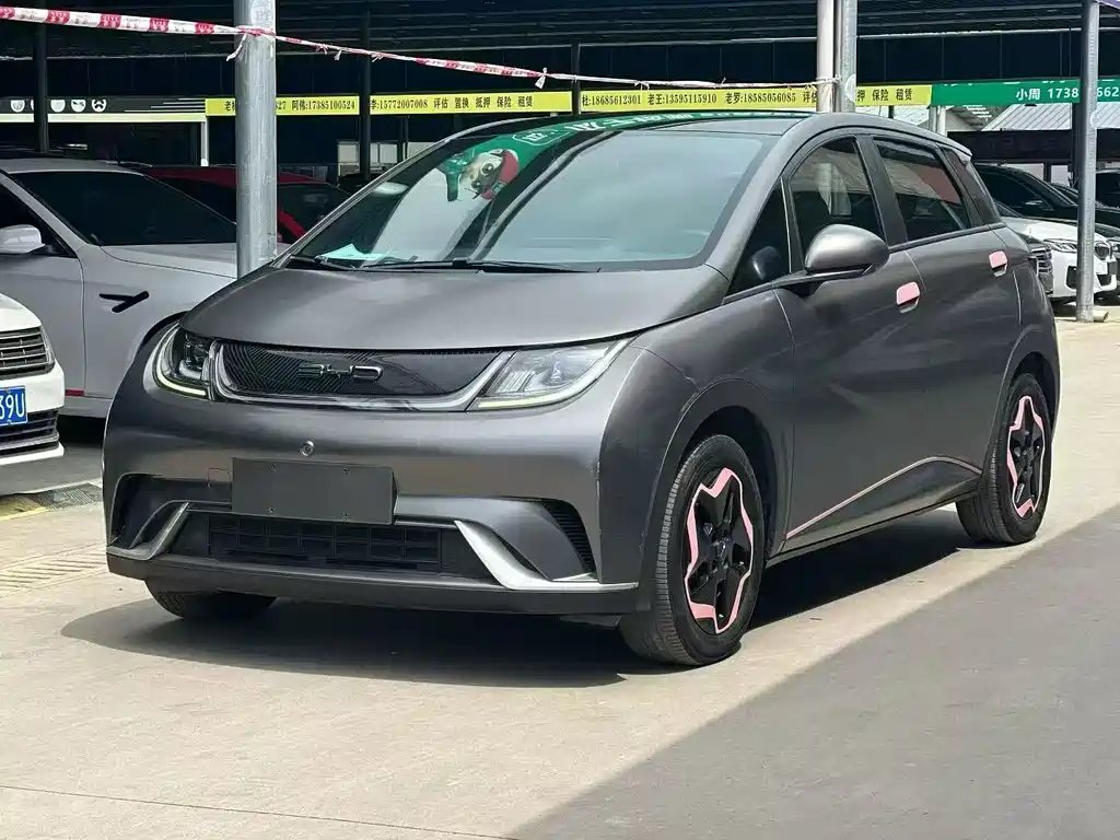 BYD Dolphin 2021
