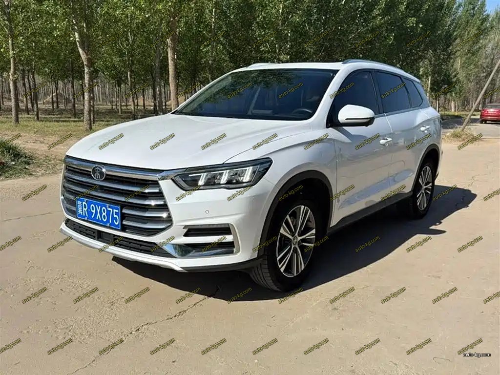 BYD Pro 2021